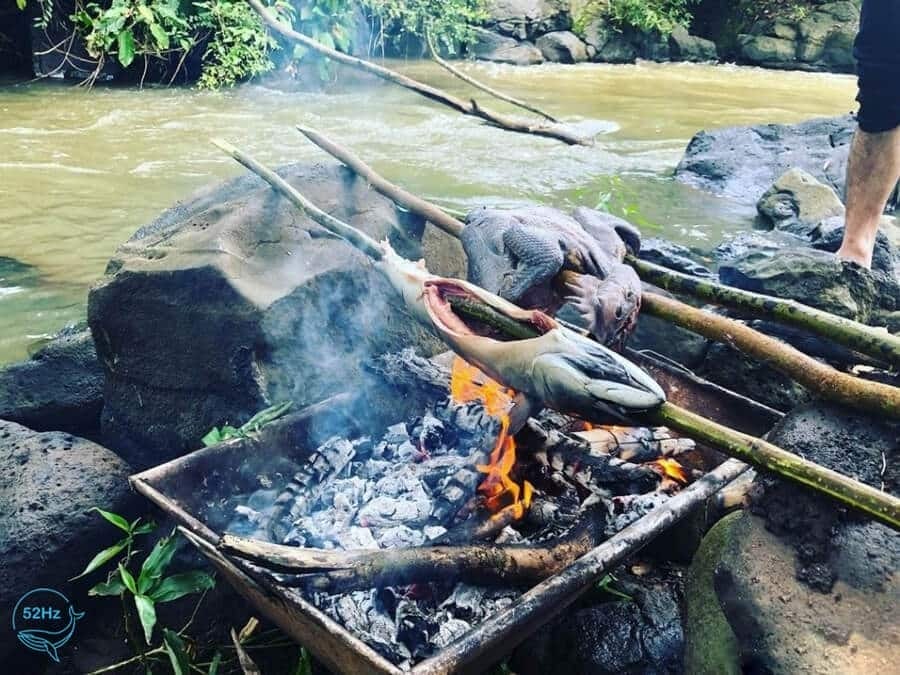 Suối Mơ Đà Nẵng