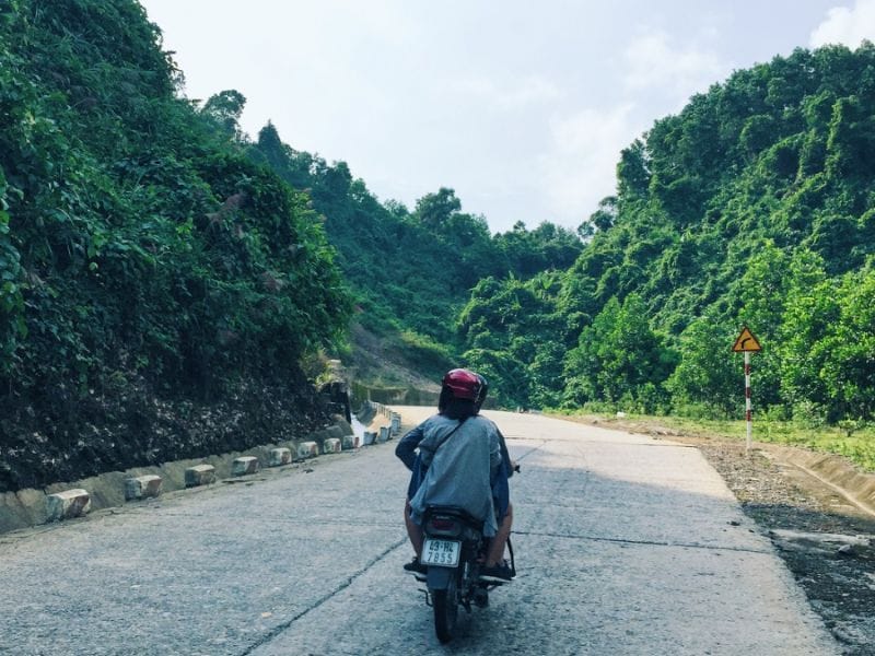 Đồi chè Đông Giang