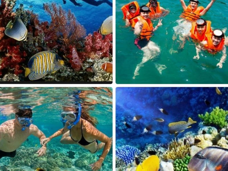 các hoạt động giải trí không thể bỏ qua tại Đà Nẵng