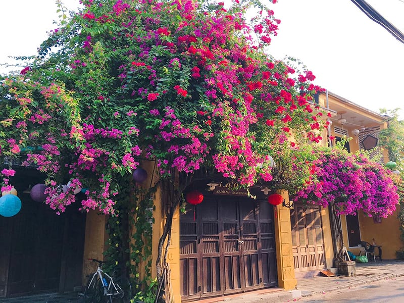 Bỏ Túi 15 Điểm Check-in Sống Ảo Tại Hội An Đẹp Như Mơ