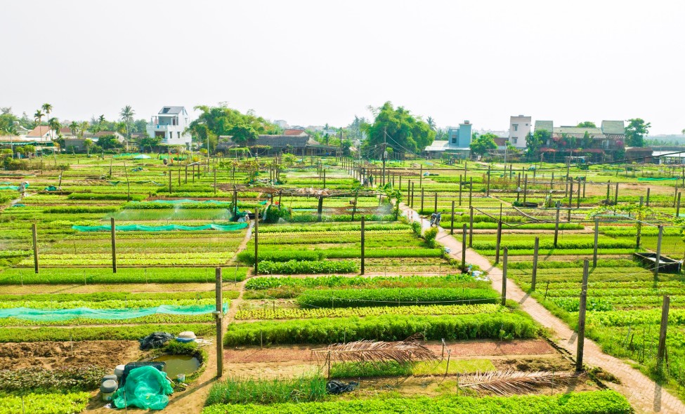 địa điểm đẹp Hội An