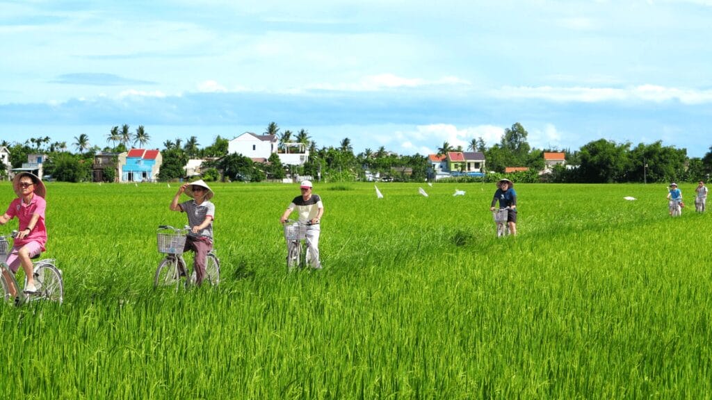 Review Tour Trải Nghiệm Hội An: Có Gì Hấp Dẫn Mà Du Khách Mê Mẩn?