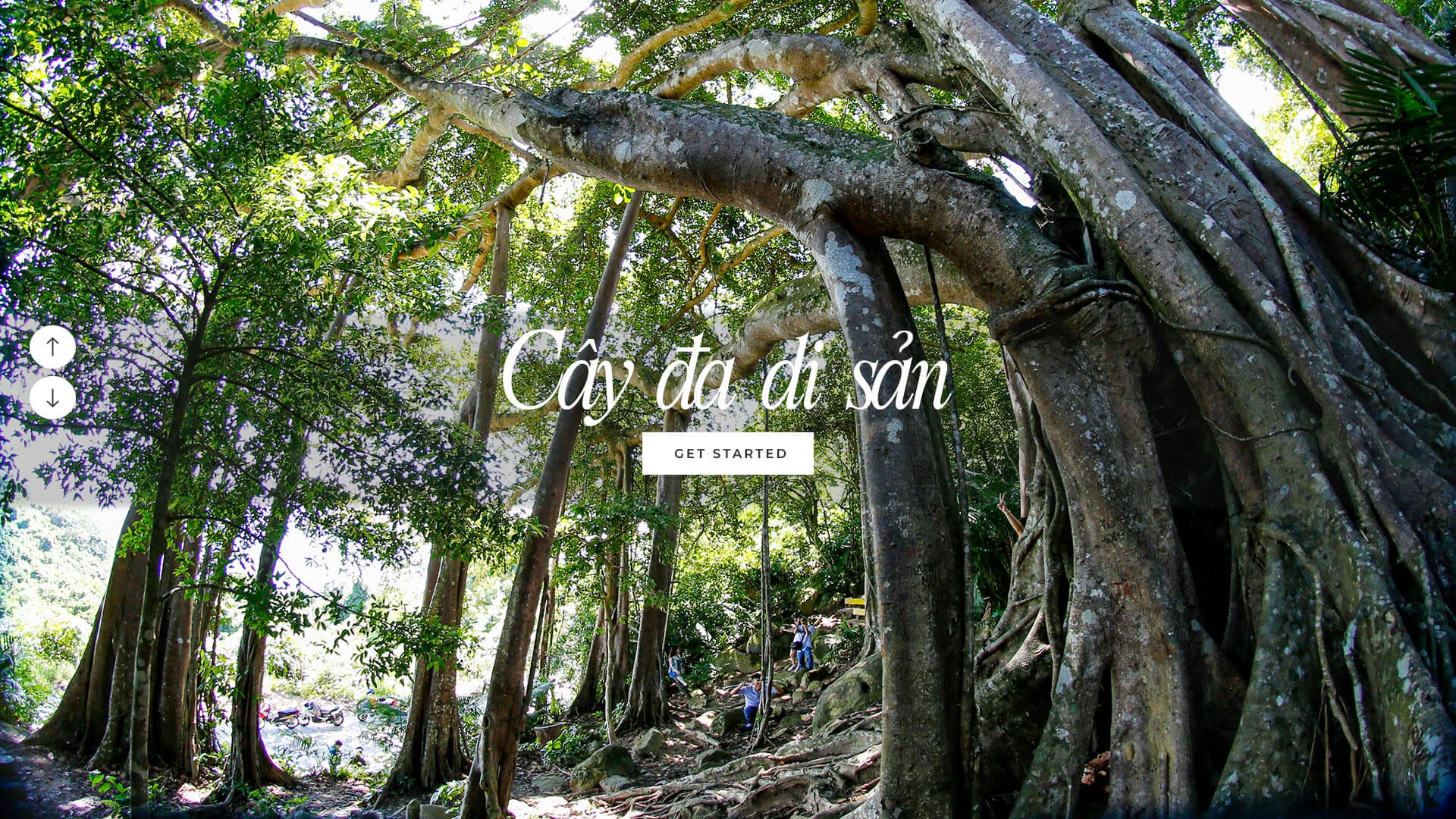 Bán đảo Sơn Trà